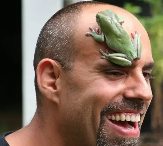 Dominic Rizzo with a green frog perched on his forehead