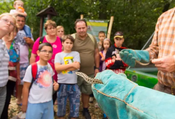 Families crowded around an educator holding a lizard