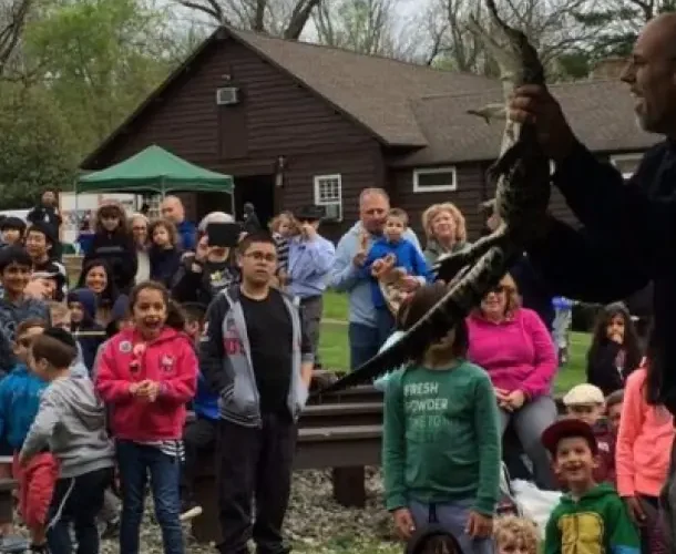 Large outdoor crowd of families watching a live animal show